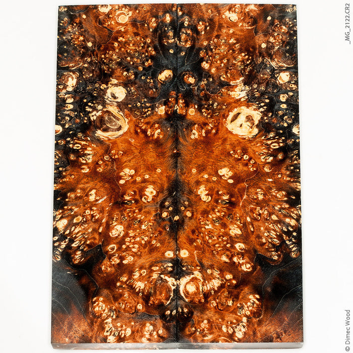Stabilized wood box elder burl panels