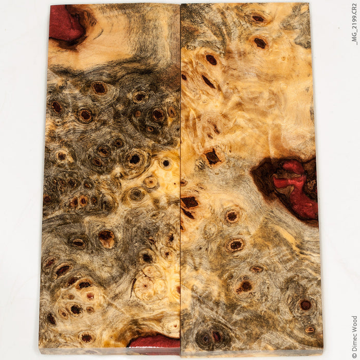 Stabilized wood hybrid buckeye burl panels