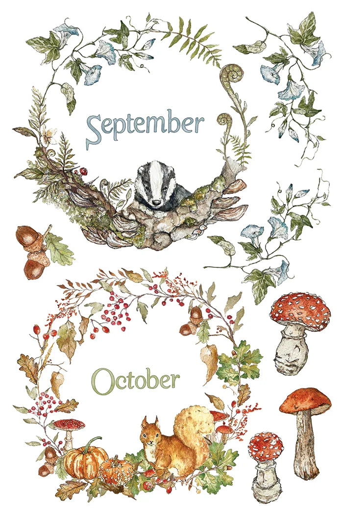 A watercolor-style autumn-themed graphic with two circular botanical frames labeled September and October. The top frame shows a badger among leaves and acorns, while the bottom frame shows a squirrel with pumpkins, berries, and mushrooms.