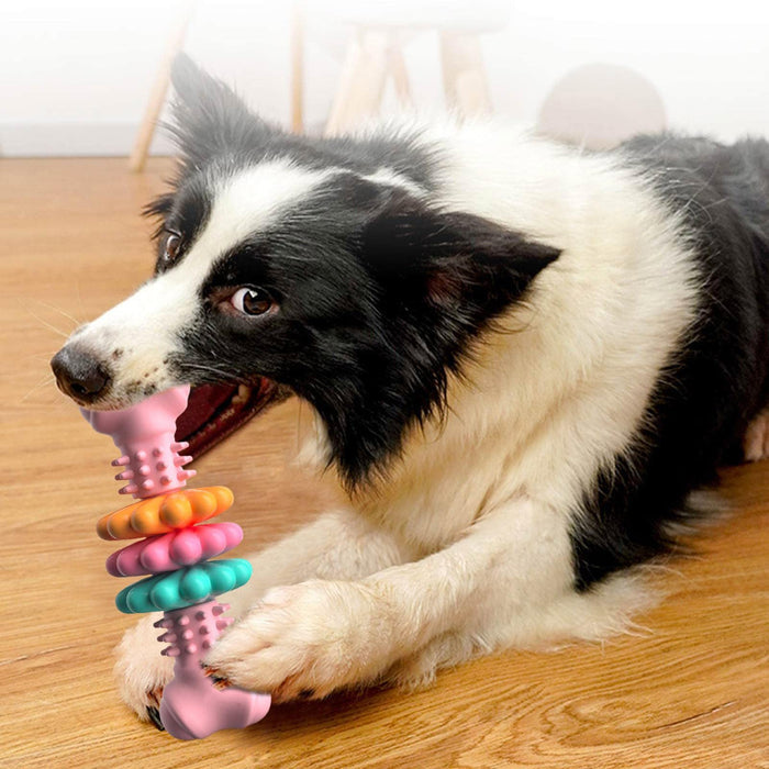 Small dog chewing on Indestructible Dog Chew Toy