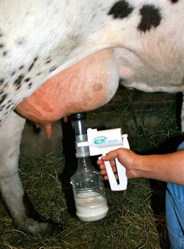 Udderly-EZ-Milker-for-Cow-4