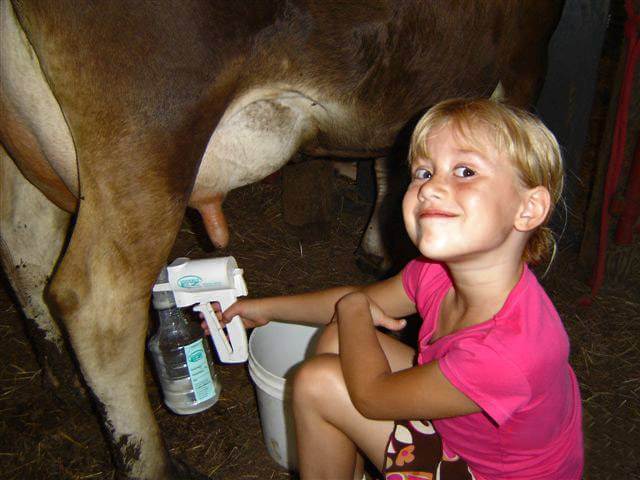 Udderly-EZ-Milker-for-Cow-2