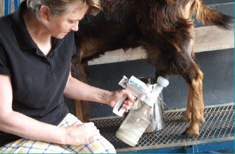 Udderly-EZ-Goat-Milker-4