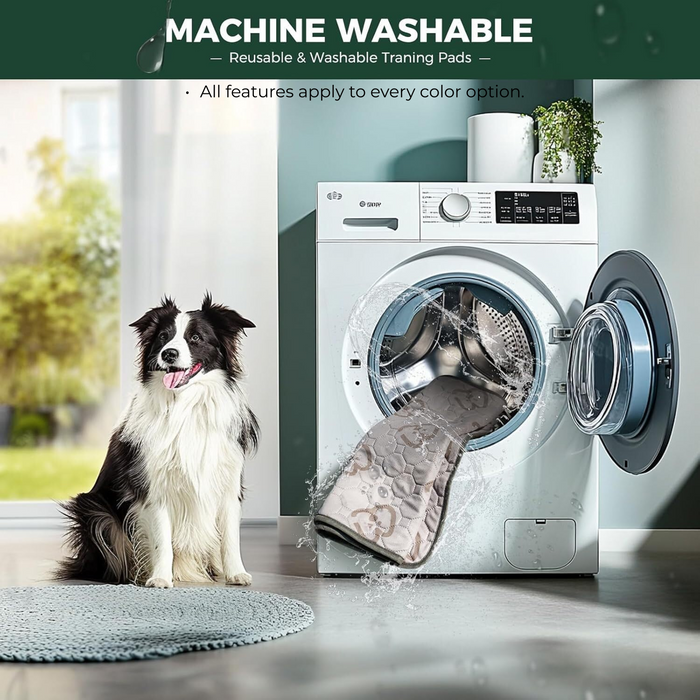 Washable Pee Pads for Housebreaking Your Dog