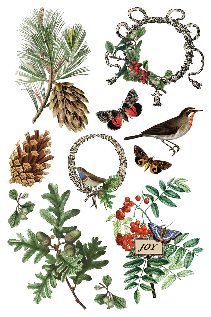 Winter Botanist IOD Transfer