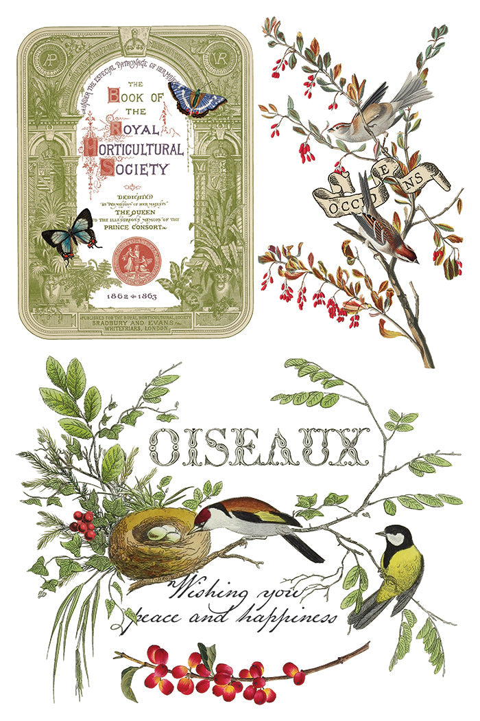 Winter Botanist IOD Transfer
