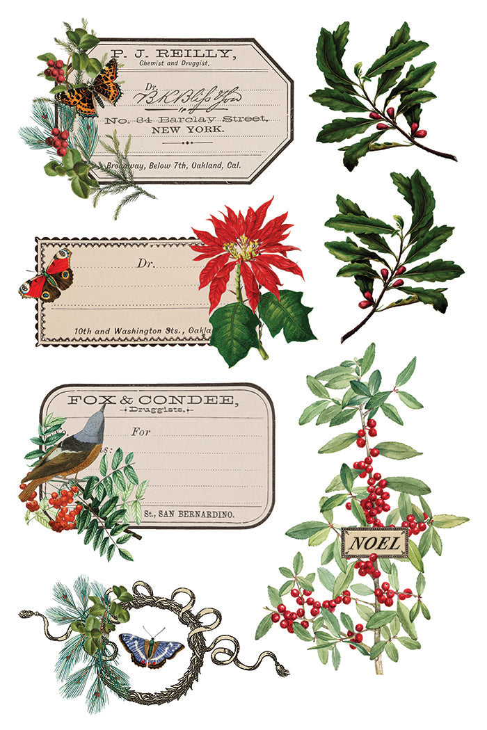 Winter Botanist IOD Transfer